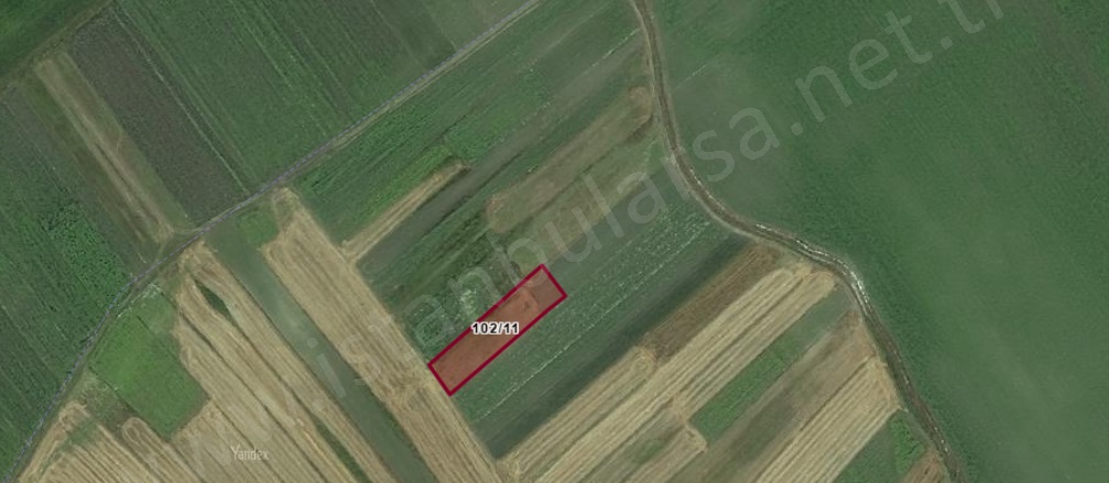 Karabürçek Mah. Saray Satılık Tarla |  294M2 230.000Tl Resim-3