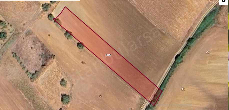 Edirne Keşan Beğendik Köyü Satılık Tarla Arsa 275 M2 Yolu Var Hisseli Beykent Mah-Beğendik
