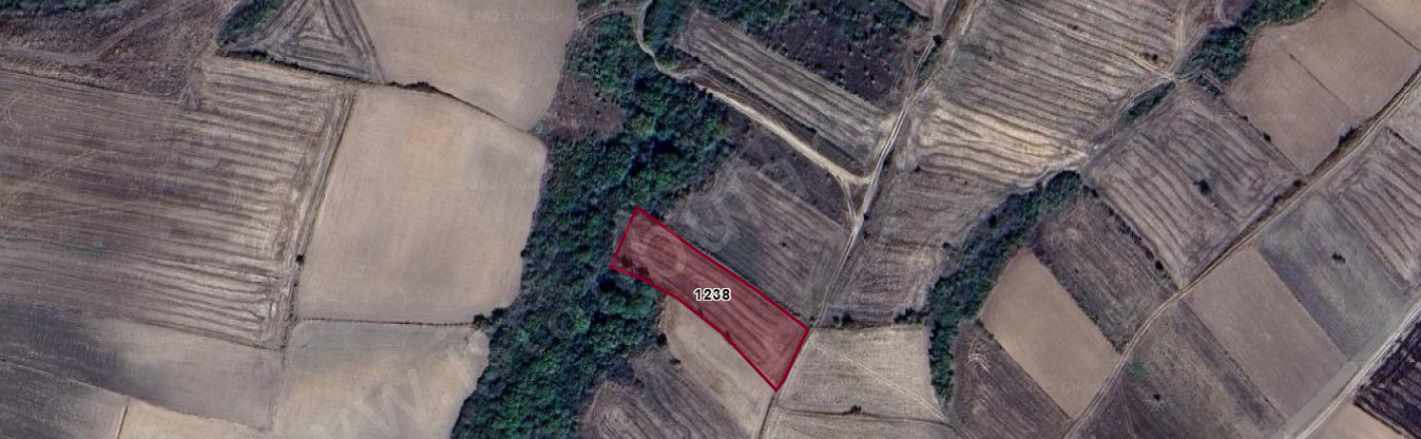 Tekirdağ Hayrabolu Kadriye Mah Satılık Tarla 2 100 M2 Tek Tapu Yolu Var