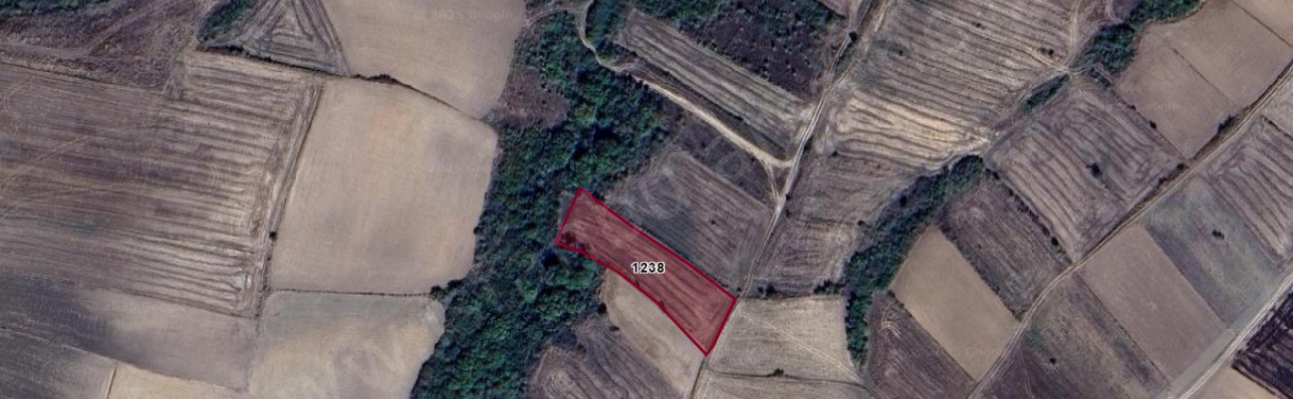 Kadriye Mah. Hayrabolu Satılık Tarla |  2100M2 455.000Tl Resim-2