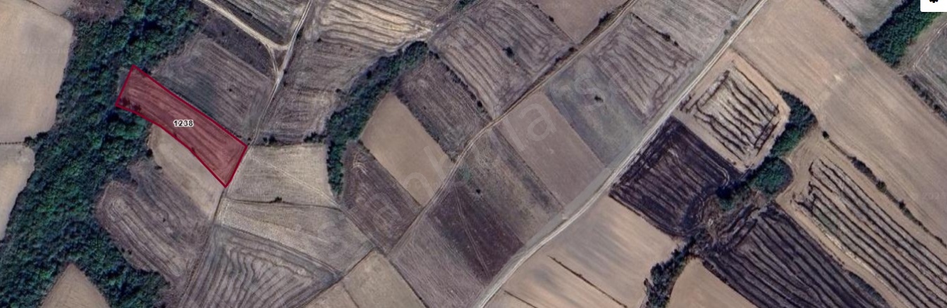 Kadriye Mah. Hayrabolu Satılık Tarla |  2100M2 455.000Tl Resim-4