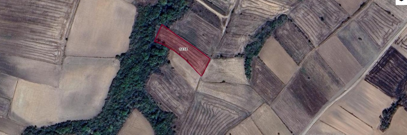 Kadriye Mah. Hayrabolu Satılık Tarla |  2100M2 455.000Tl Resim-5