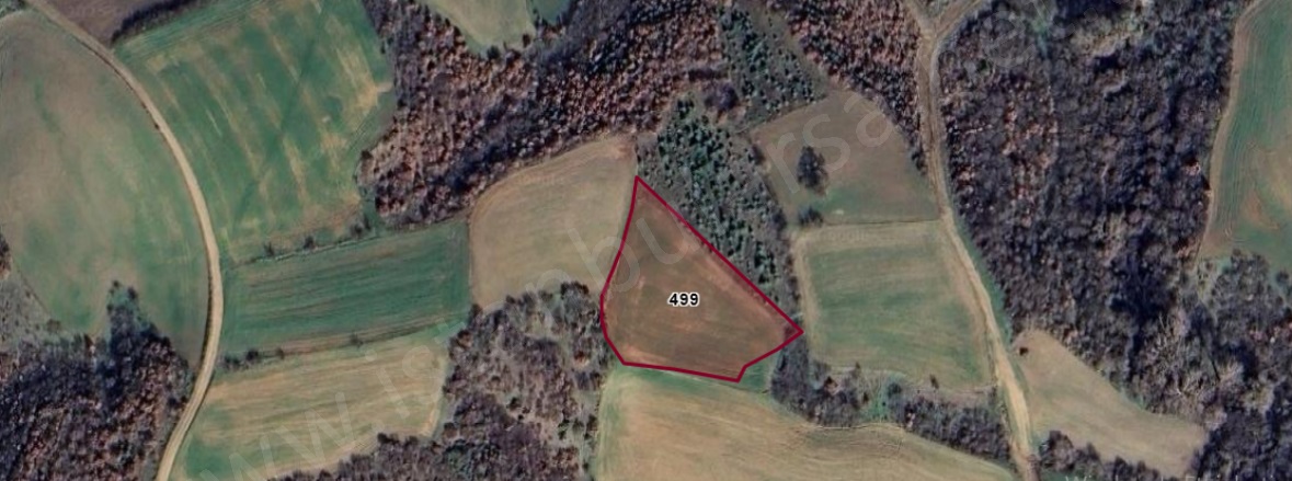 Cambazdere Mah. Hayrabolu Satılık Tarla |  3250M2 570.000Tl Resim-1