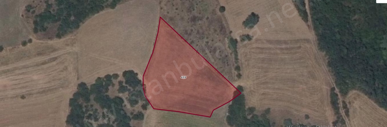 Cambazdere Mah. Hayrabolu Satılık Tarla |  3250M2 570.000Tl Resim-3
