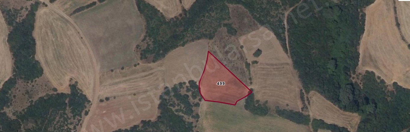 Cambazdere Mah. Hayrabolu Satılık Tarla |  3250M2 570.000Tl Resim-4