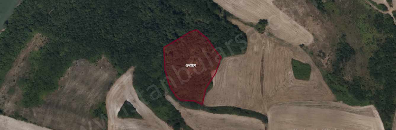 Çatalca Kızılcaalide Satılık Arsa 538 M2 Hisseli Kızılcaali Mah