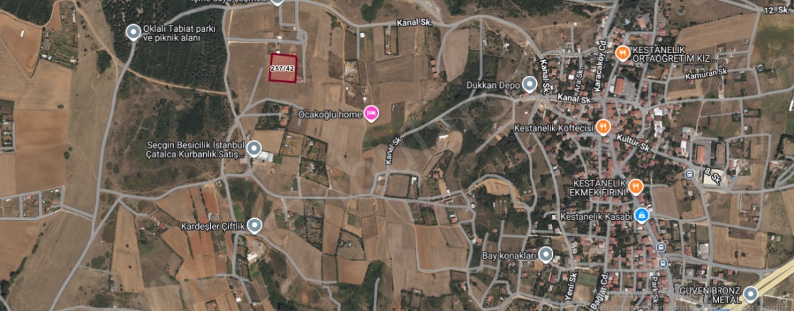 Kestanelik Mah. Çatalca Satılık Bağ |  5060M2 20.460.000Tl Resim-3