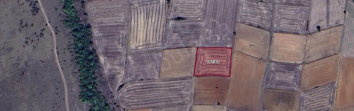 Övenler Mah. Hayrabolu Satılık Tarla |  2900M2 1.035.000Tl Resim-2