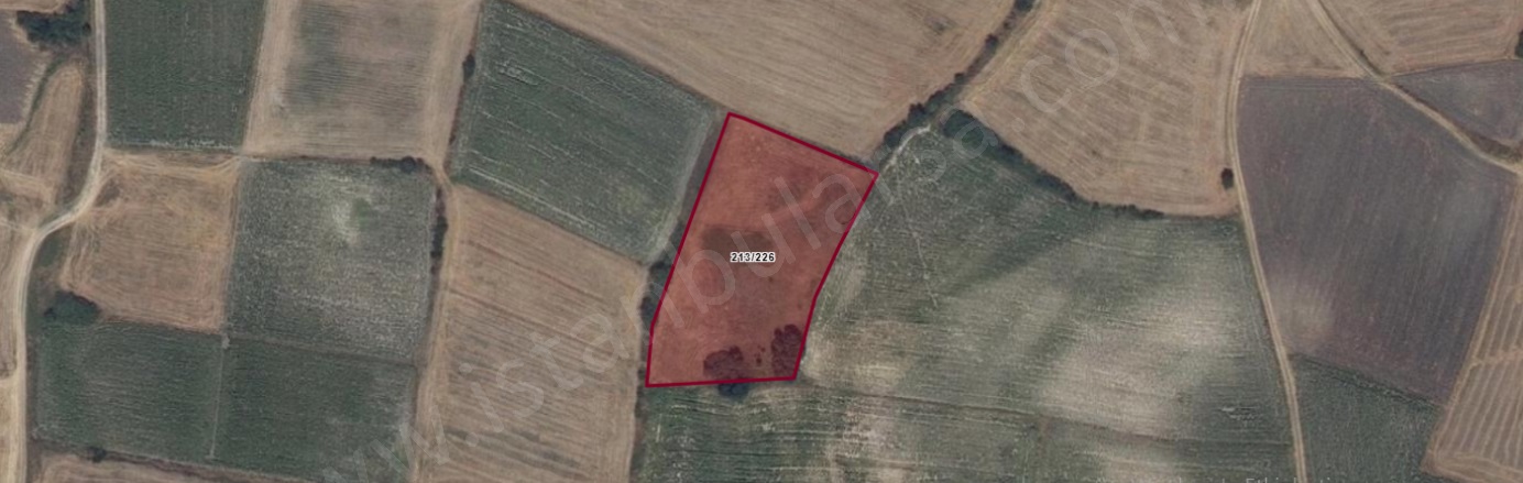 Şalgamlı Mah. Hayrabolu Satılık Tarla |  6211M2 1.650.000Tl Resim-2