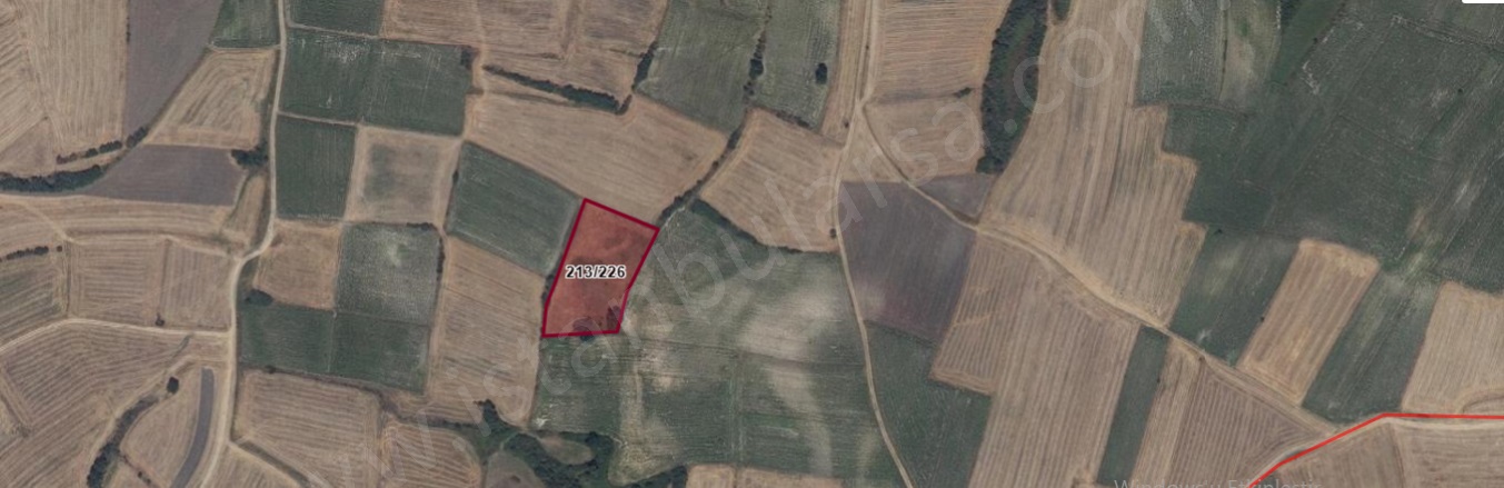 Şalgamlı Mah. Hayrabolu Satılık Tarla |  6211M2 1.650.000Tl Resim-3