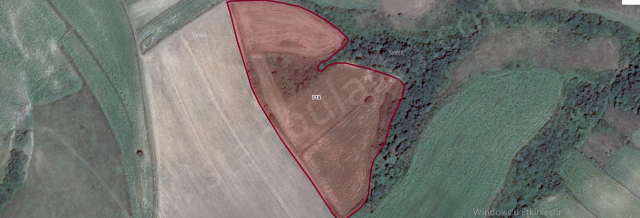 Hasköy Mah. Hayrabolu Satılık Arsa |  1071M2 320.000Tl Resim-1