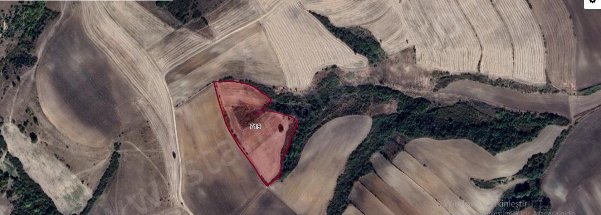 Hasköy Mah. Hayrabolu Satılık Arsa |  1071M2 320.000Tl Resim-2