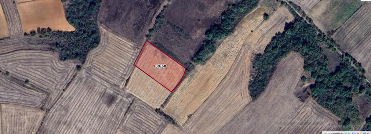 Kurtuluş Mah. Pehlivanköy Satılık Arsa |  892M2 345.000Tl Resim-1