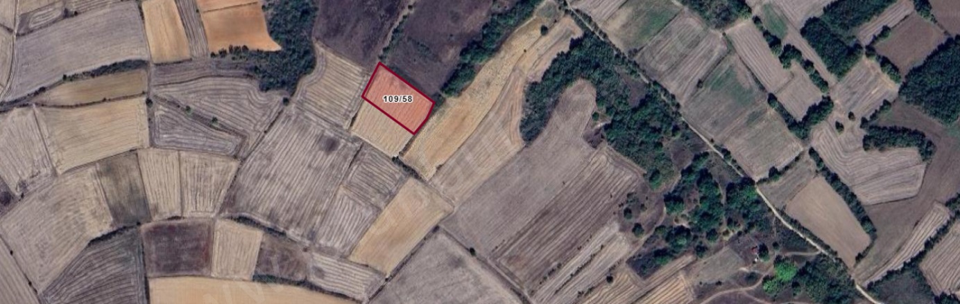 Kurtuluş Mah. Pehlivanköy Satılık Arsa |  892M2 345.000Tl Resim-4