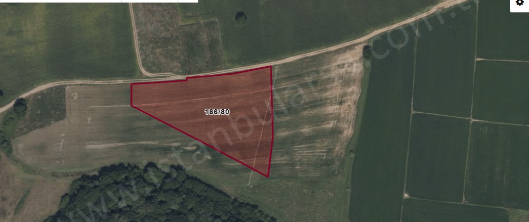 Çiftlikköy Mah. Çatalca Satılık Tarla |  491M2 1.650.000Tl Resim-1