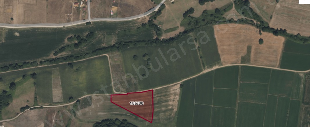 Çiftlikköy Mah. Çatalca Satılık Tarla |  491M2 1.650.000Tl Resim-2