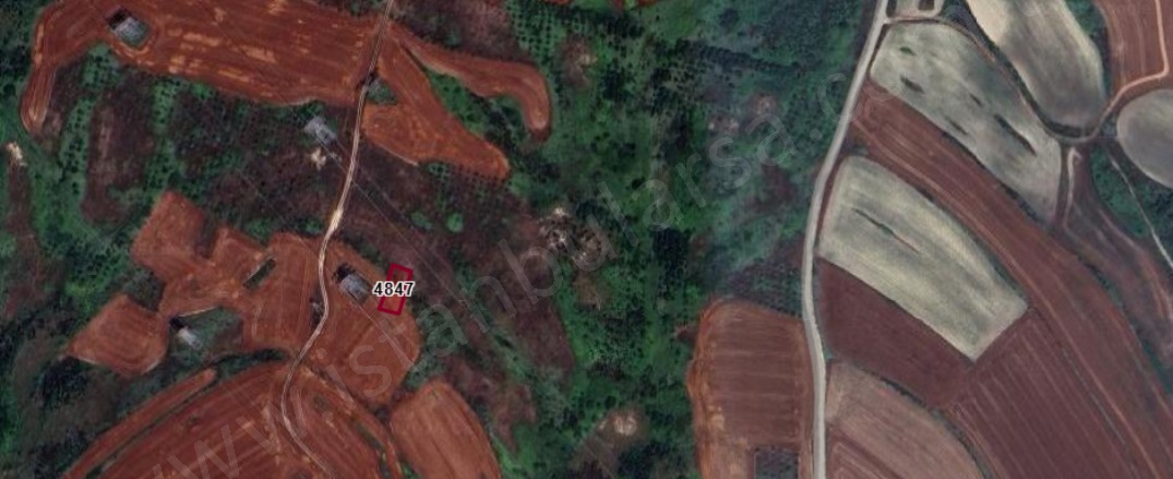 Sazlıbosna Mah. Arnavutköy Satılık Arsa |  480M2 3.160.000Tl Resim-3