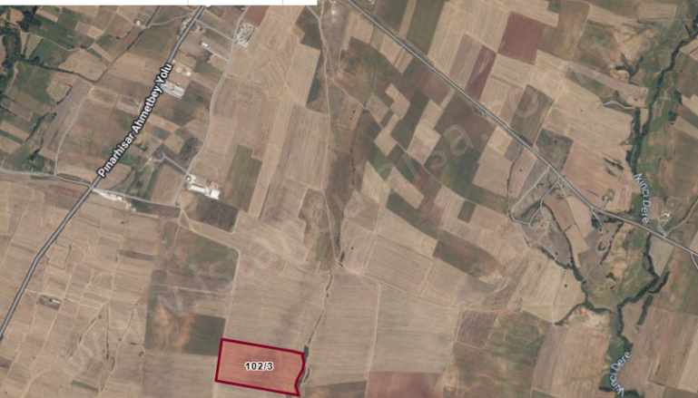 Kırklareli Pınarhisar Cevizköy Köyü Satılık Tarla 60 Dönüm Yolu Var Müstakil