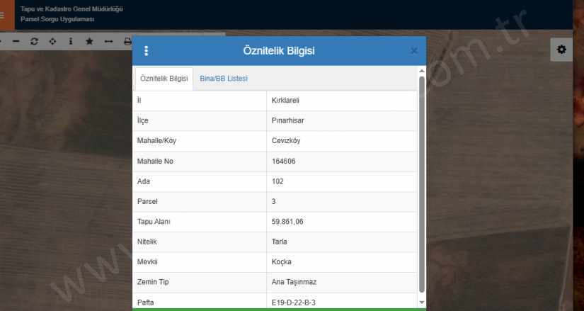 Kırklareli Pınarhisar Cevizköy Köyü Satılık Tarla 60 Dönüm Yolu Var Müstakil