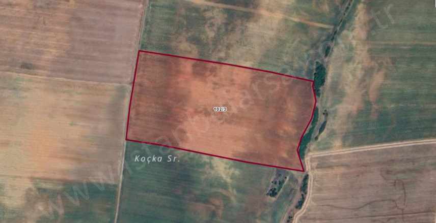 Kırklareli Pınarhisar Cevizköy Köyü Satılık Tarla 60 Dönüm Yolu Var Müstakil