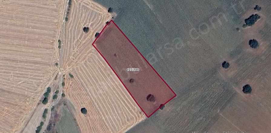 Kırklareli Pınarhisar Tozaklı Köyü Satılık Tarla 3 205 M2 Hisseli