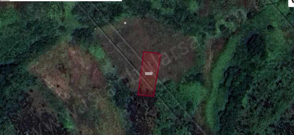 Arnavutköy Sazlıbosna Satılık Arsa 392 M2 Müstakil Mah