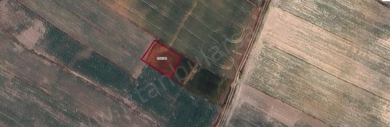 Çayla Mah. Saray Satılık Tarla |  456M2 650.000Tl Resim-3