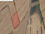 Edirne Keşan Karacaali Köyü Satılık Tarla , 1,600 m2 Tek Tapu  Evlerin Yakını