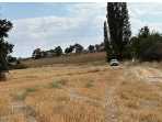 Kırklareli Kofçaz Kocatarla Köyü Satılık Arsa ,1,605 M2 Çaplı Yolu  Var