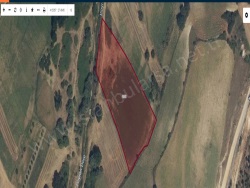 Lüleburgaz Karaağaç Köyü Satılık Tarla 12000 M2