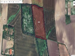 Çatalca Kestanelik Mah. Satılık Tarla 11766 M2