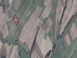 Uzunköprü Sultanşah Köyü Satılık Tarla 1590 M2