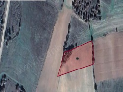 Meriç Akıncılar Köyü Satılık Tarla 159 M2