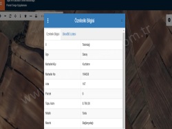 Saray Kurtdere Mah. Satılık Tarla 8760 M2