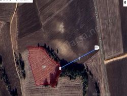 Süloğlu Şafak Mah. Satılık Tarla 1938 M2