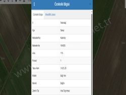 Saray Kadıköy Mah. Satılık Tarla 3000 M2