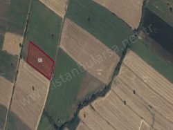 Merkez Ürünlü Köyü Satılık Tarla 6500 M2