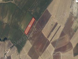 Keşan Beykent Mah-Beğendik Köyü. Satılık Tarla 876 M2