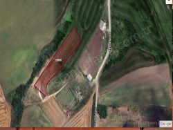 Çatalca Kabakça Mah. Satılık Tarla 977 M2