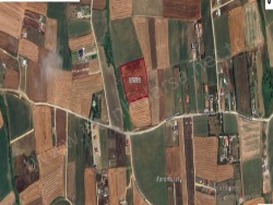 Çatalca Elbasan Mah. Satılık Tarla 250 M2