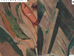 Çatalca İnceğiz Mah. Satılık Tarla 1125 M2