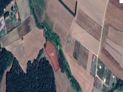 Çatalca Belgrat Mah. Satılık Tarla 373 M2