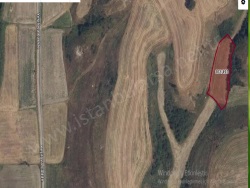 Hayrabolu Lahna Mah. Satılık Tarla 2290 M2