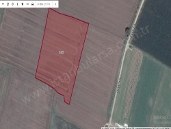 Merkez Kazımpaşa Mah-İnece Köyü. Satılık Tarla 319 M2