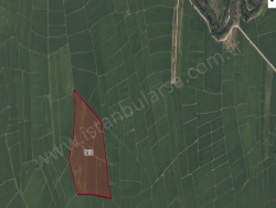 Çatalca Ormanlı Mah. Satılık Tarla 3837 M2