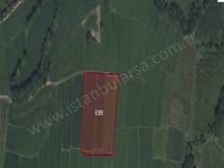 Çatalca Çiftlikköy Mah. Satılık Tarla 220 M2