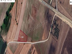 Vize Evrenli Köyü Satılık Tarla 134 M2