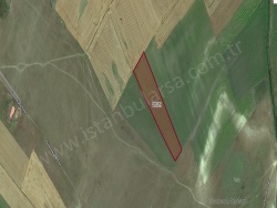 Vize Düzova Köyü Satılık Tarla 792 M2