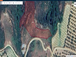 Şarköy Tepeköy Mah. Satılık Tarla 4215 M2