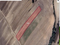 Malkara Karacagür Mah. Satılık Tarla 6271 M2